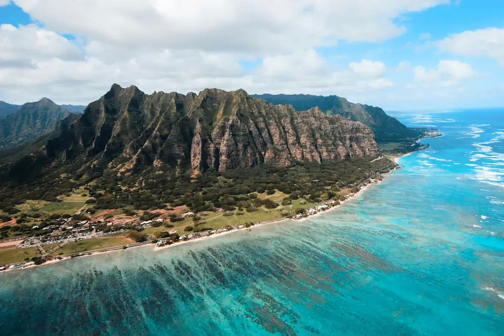 Premiers pas au paradis
