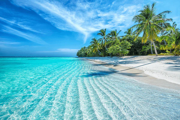 Premiers instants au paradis