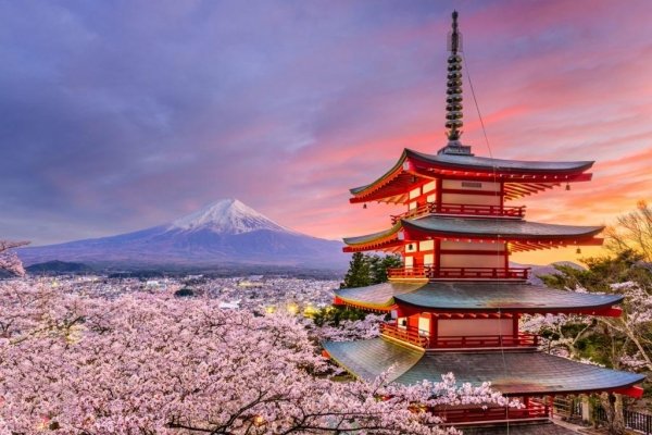 Sayonara Tokyo, souvenirs inoubliables